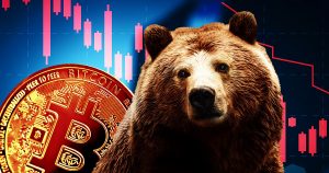 Bear market research.jpg