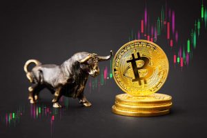 Bitcoin bull.jpg