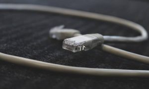 Sigmund eje6lqejhpa unsplash 1000x600.jpg