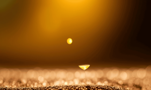 Bnb 1000x600.png
