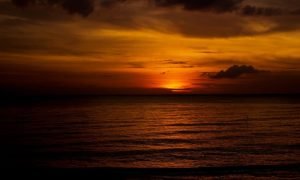 Alessandro zanini zq1viv37iz0 unsplash 1000x600.jpg