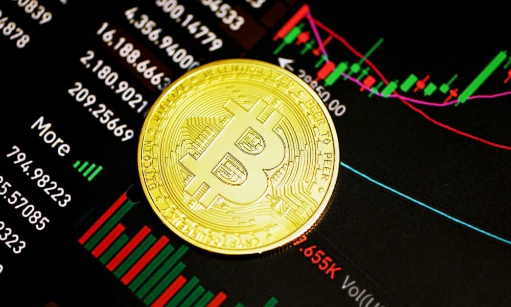 Btc michael 1000x600.jpg