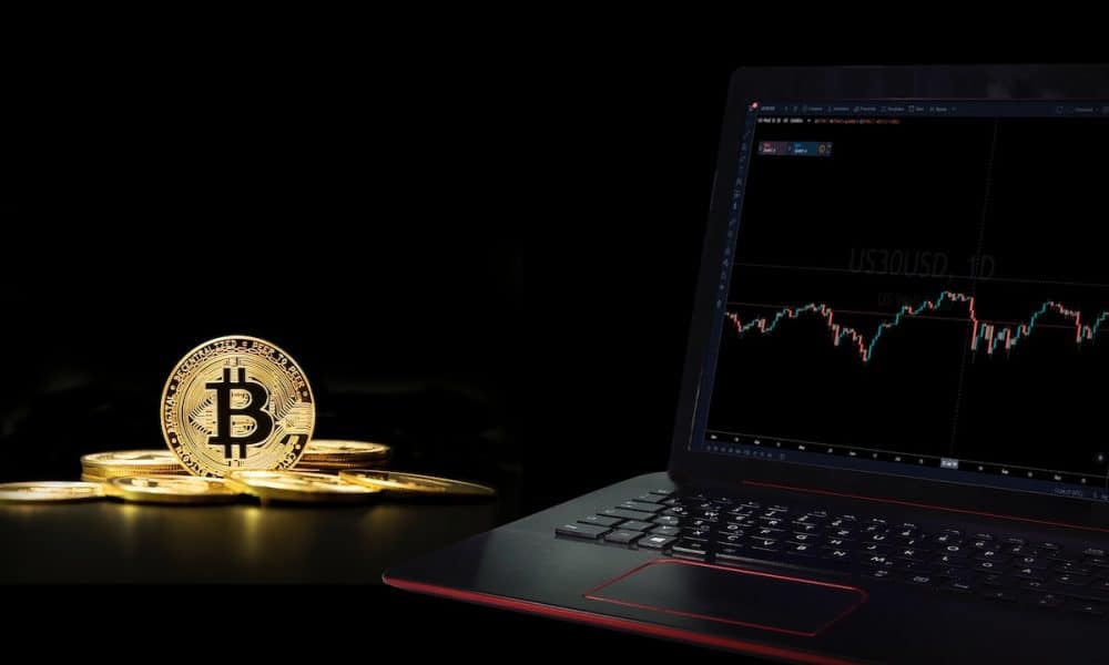 Btc wale pexels 1000x600.jpg