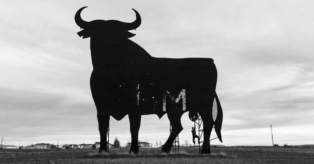 Bull.jpg
