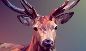 Deer g0d448d36c 1280 1000x600.jpg