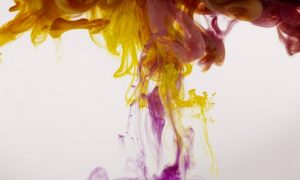 Engin akyurt 8g j nqwxc unsplash 1000x600.jpg