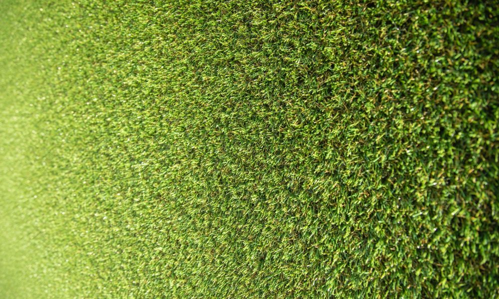 Engin akyurt zzmdmnnt kq unsplash 1000x600.jpg