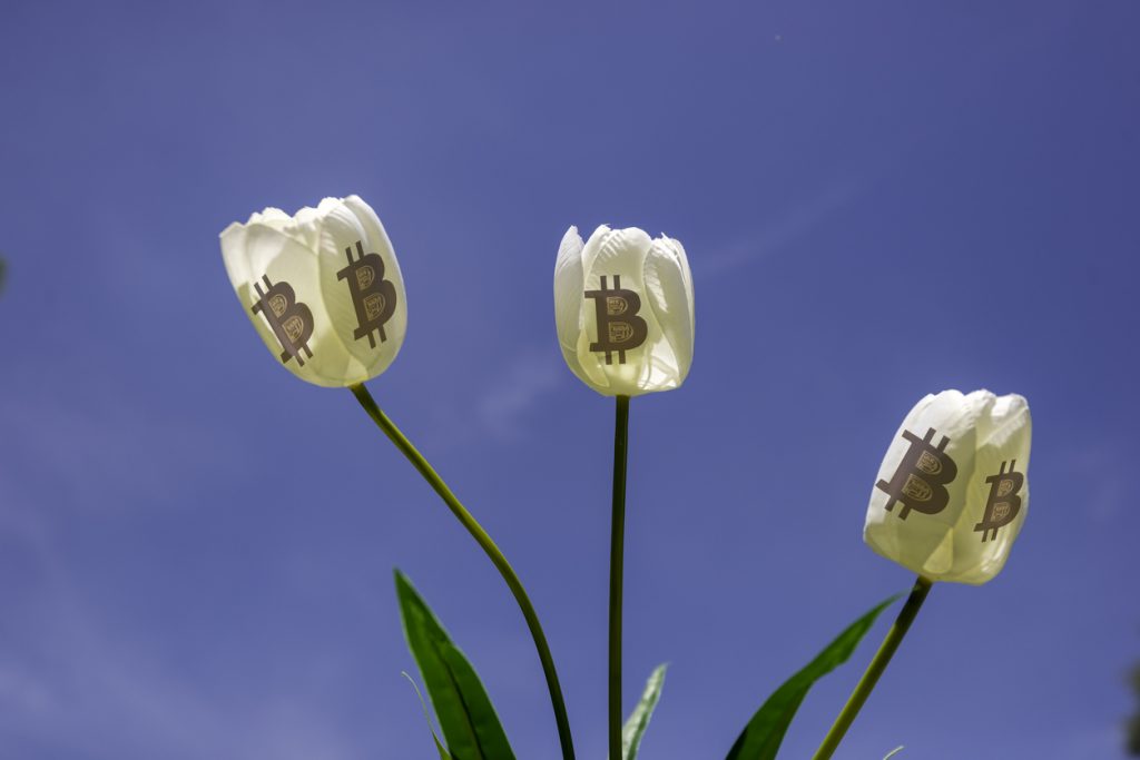 Istock 898447242.jpeg