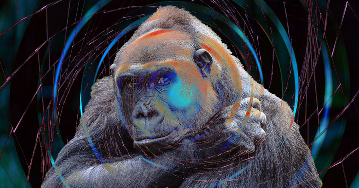 Image 2023 02 01 175407859.png