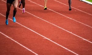 Nicolas hoizey poa ycw1w8u unsplash 1000x600.jpg