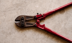 Po 2023 02 15t121954.030 1000x600.png