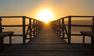Po 2023 02 16t162317.649 1000x600.png