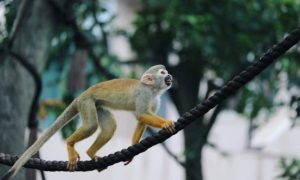 Raychan peaxbocemgk unsplash 1000x600.jpg