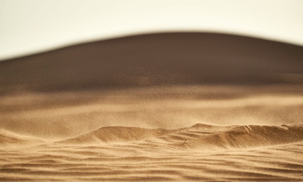 Sand adewale 1000x600.jpg