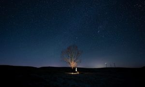 Tianhao wang i1nhk0ddgi0 unsplash 1000x600.jpg