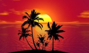 Tropical gdc4b268cc 1280 1000x600.jpg