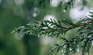 Yoksel zok noqvjrxjzye unsplash 1 1000x600.jpg