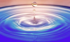 Zhang kaiyv 77kp2tbcpxo unsplash 1000x600.jpg