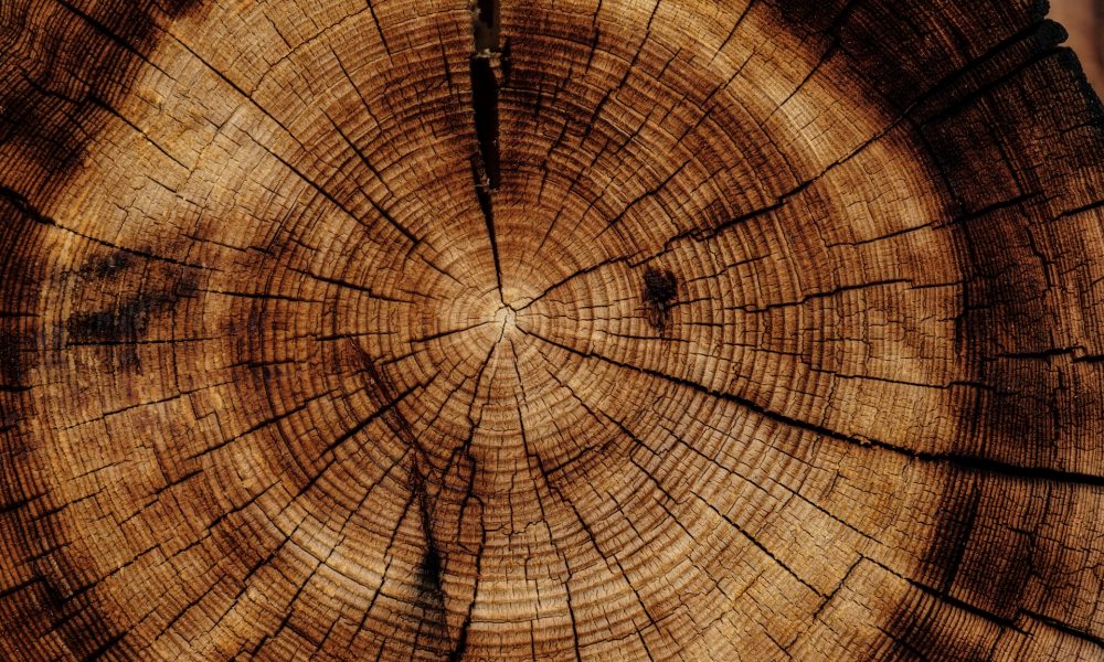 Circle michael 1000x600.jpg