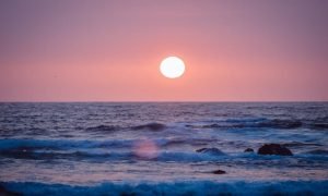 Kalea morgan a izsi wq0 unsplash 1000x600.jpg