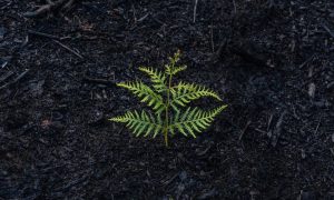Matt palmer qusvyeuxliq unsplash 1000x600.jpg