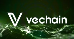 Vechain 1.jpg