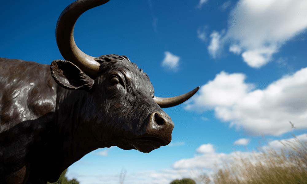Ambcrypto an image of a bull with its head held high standing i a82130dd 77f6 4305 82d1 cfd84d031137 1000x600.png