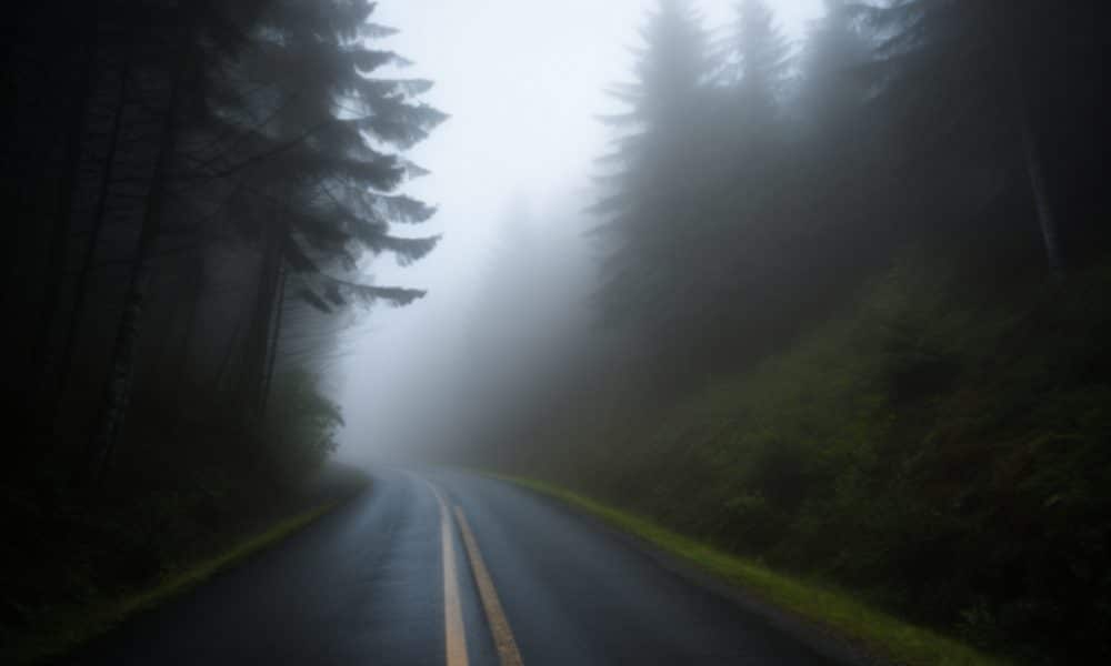 Ambcrypto as you drive down the winding road the fog begins to 5f145a86 c87c 45bd b37e 137320b6dfe9 1000x600.jpg