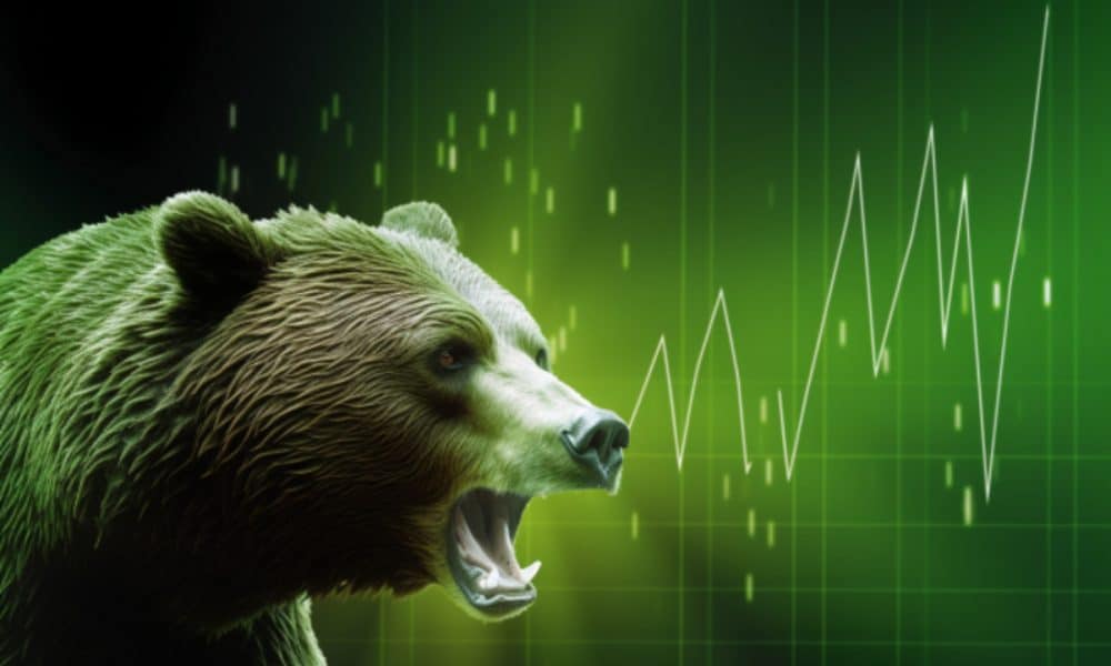 Ambcrypto a large bear seemingly headed for an attack. the back 19172642 c923 4428 ad02 256d5008fddc 1000x600.jpg