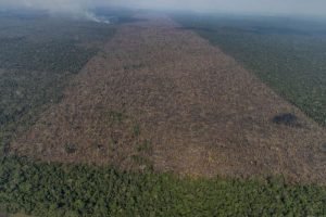 Desmatamento em labrea municipio do sul do amazonas foto victor moriyama amazonia em chamas 2021 2.jpg