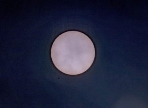 Gettyimages 1483505317.jpg