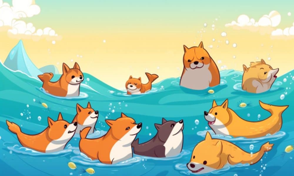 Shiba inu 1000x600.jpg