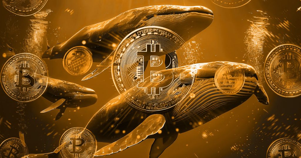 Bitcoin whales.jpg