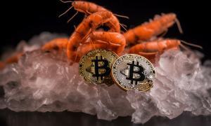 Ambcrypto an image of shrimps with bitcoins 738e2073 4b7a 4d72 9268 87cd38786800 1000x600.png