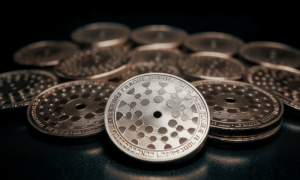 Ambcrypto cardano cryptocurrency 04030919 5951 4a67 870f 554076ecc3f4 1200x900 1000x600.png