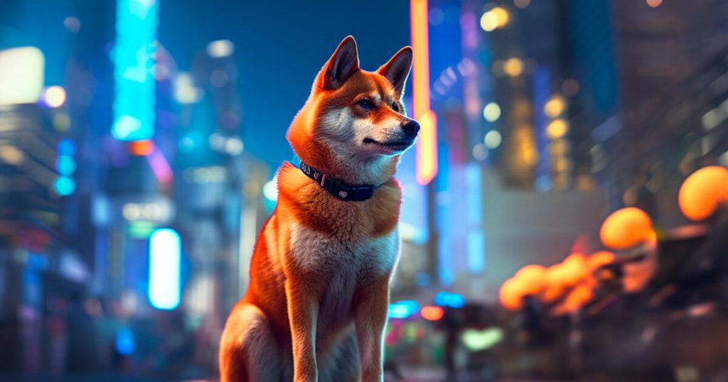 Shiba inu.jpg