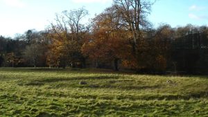 230530120706 levens ring cairn cumbria.webp.jpeg