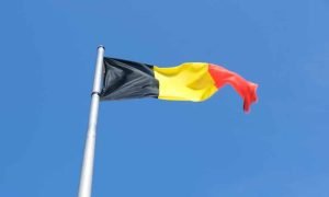 Boudewijn huysmans d wcmz66ys8 unsplash 1000x600.jpg