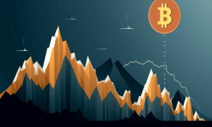 Btc wale 1000x600.png