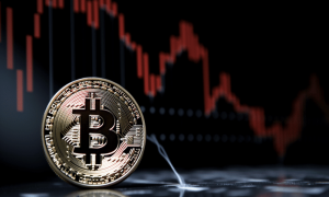 Btc wale 5 1000x600.png