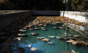 Ambcrypto a pool that has water drained almost half way. some l e1c7fd68 3c6c 4672 a30d 1b3fb0b84372 1200x900 1000x600.png