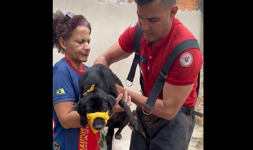 Bombeiros.png