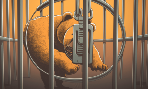 Btc 5 1000x600.png