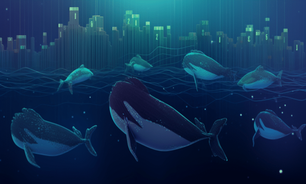 Ethereum eth whales 1200x900 1000x600.png