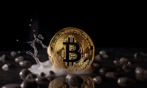 Btc vic 1000x600.png