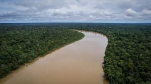 Desaparecimento amazonia 3.webp.jpeg