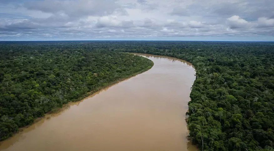 Desaparecimento amazonia 3.webp.jpeg