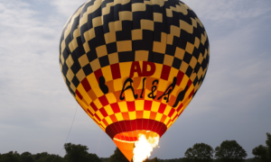 Image 1200x900 1 3 1000x600.png
