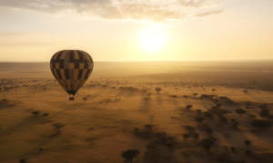 Image 1200x900 12 1 1000x600.png