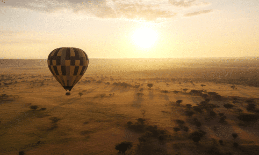 Image 1200x900 12 1 1000x600.png